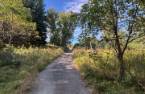 Terre/Terrain