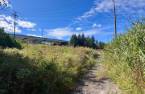 Terre/Terrain