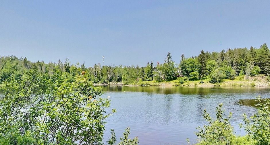Vue sur l'eau