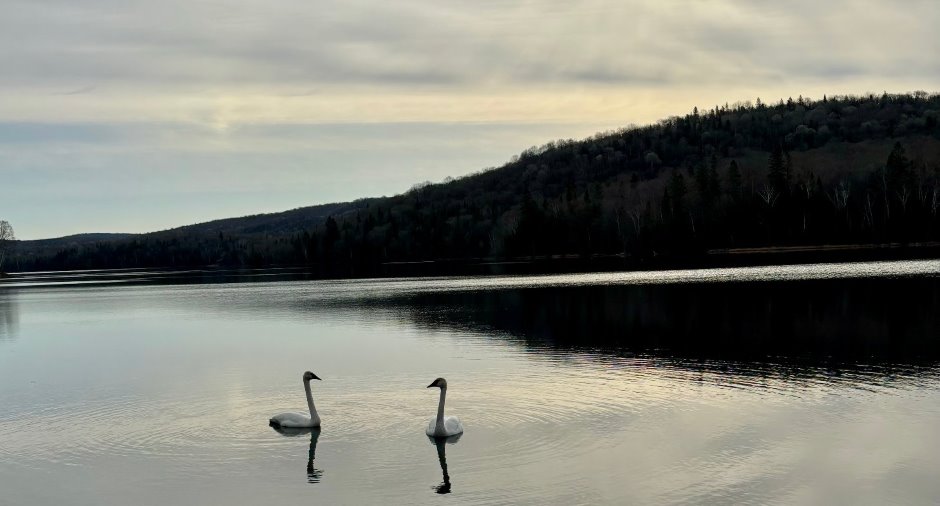 Vue sur l'eau