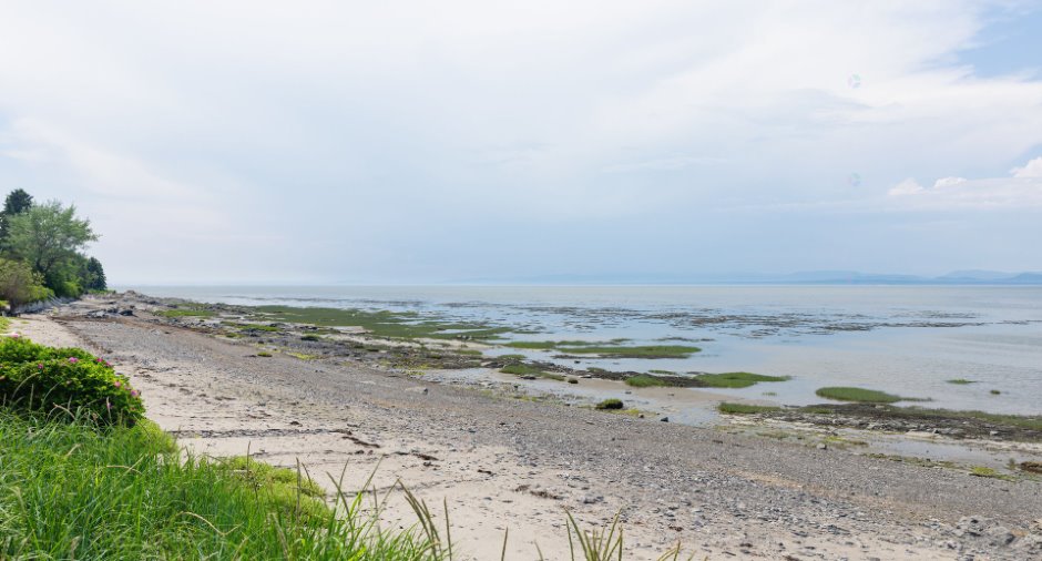 Vue sur l'eau
