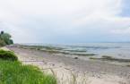 Vue sur l'eau