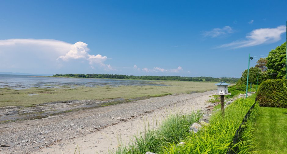 Vue sur l'eau
