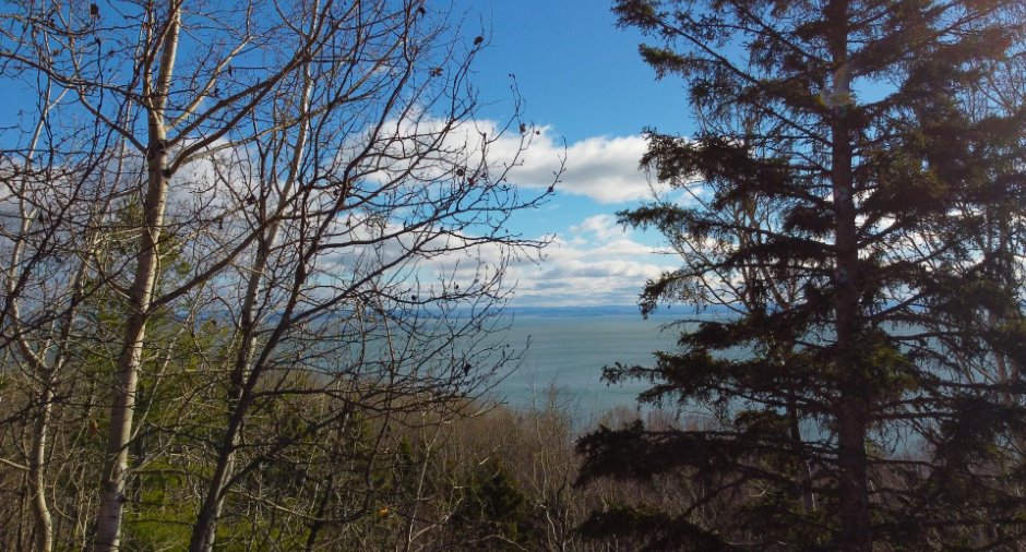 Vue sur l'eau