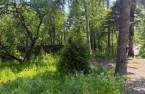 Terre/Terrain