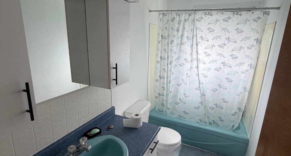 Salle de bains
