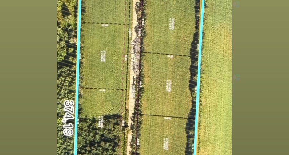 Vue d'ensemble