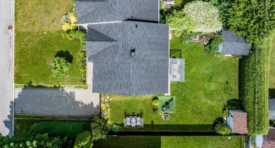 Vue