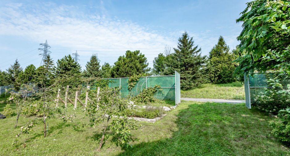 Jardin