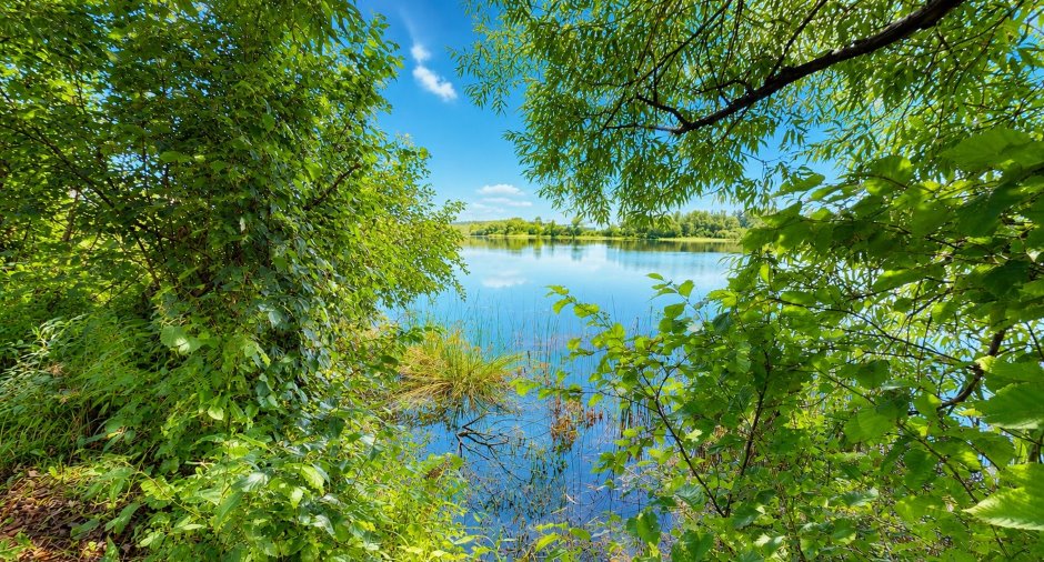 Bord de l'eau