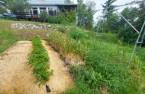 Terre/Terrain