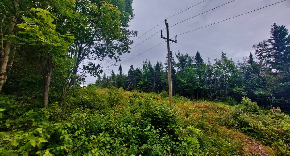 Terre à bois