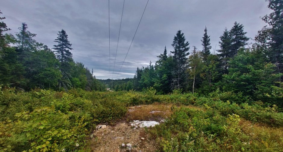Terre à bois