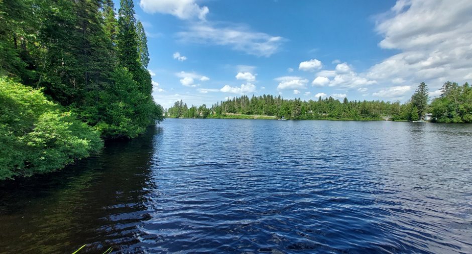 Bord de l'eau
