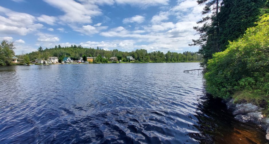 Bord de l'eau