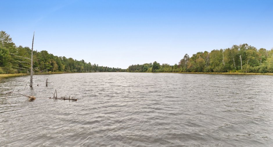 Bord de l'eau