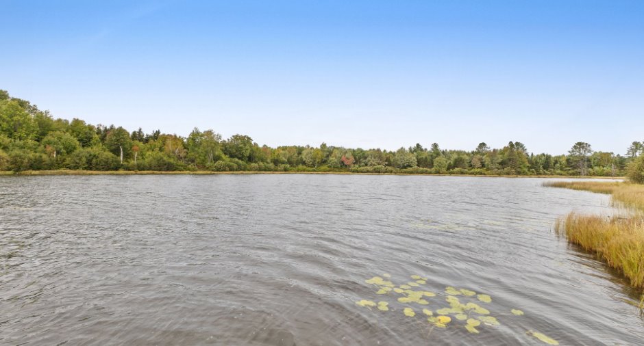 Bord de l'eau