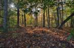 Terre/Terrain