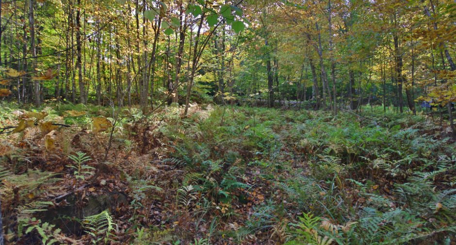 Terre/Terrain