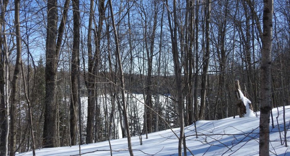 Terre/Terrain