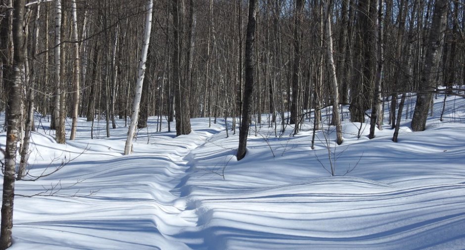 Terre/Terrain
