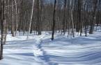 Terre/Terrain