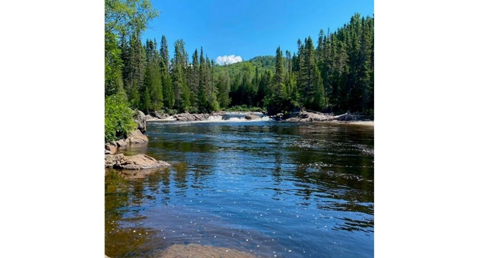 Vue sur l'eau