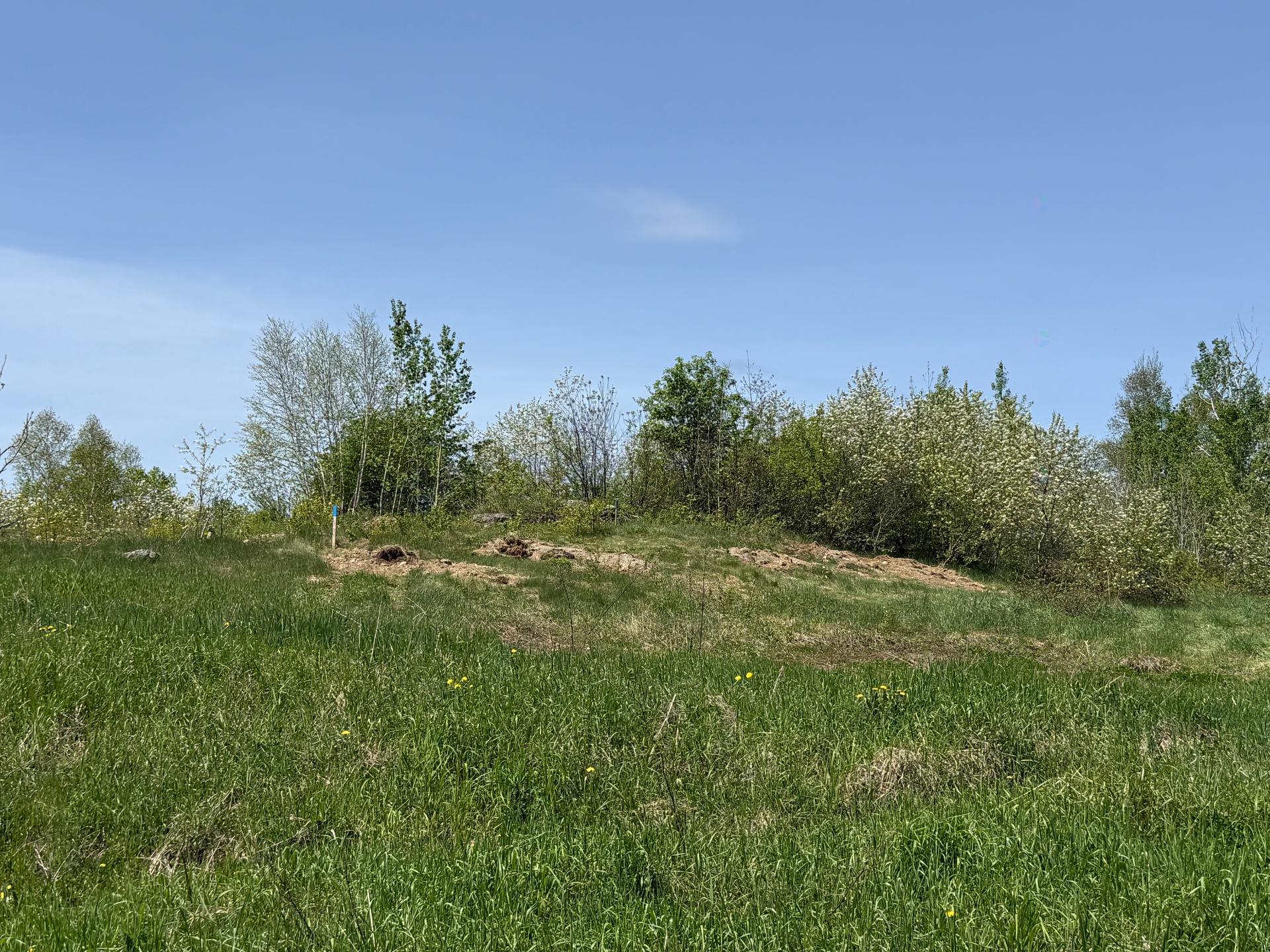 Ch. de la Grande-Décharge — photo 1