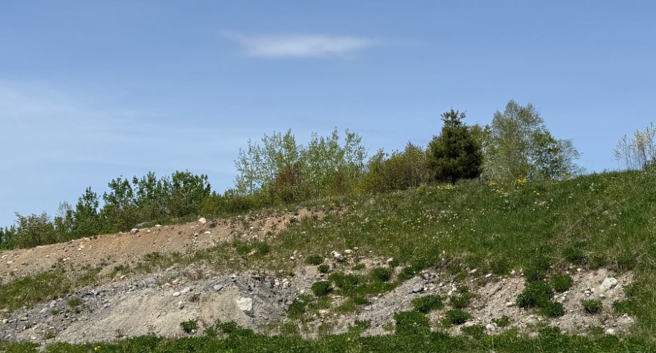 Terre/Terrain
