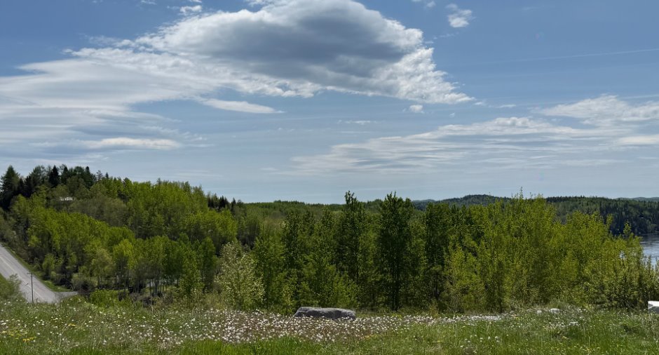 Terre/Terrain