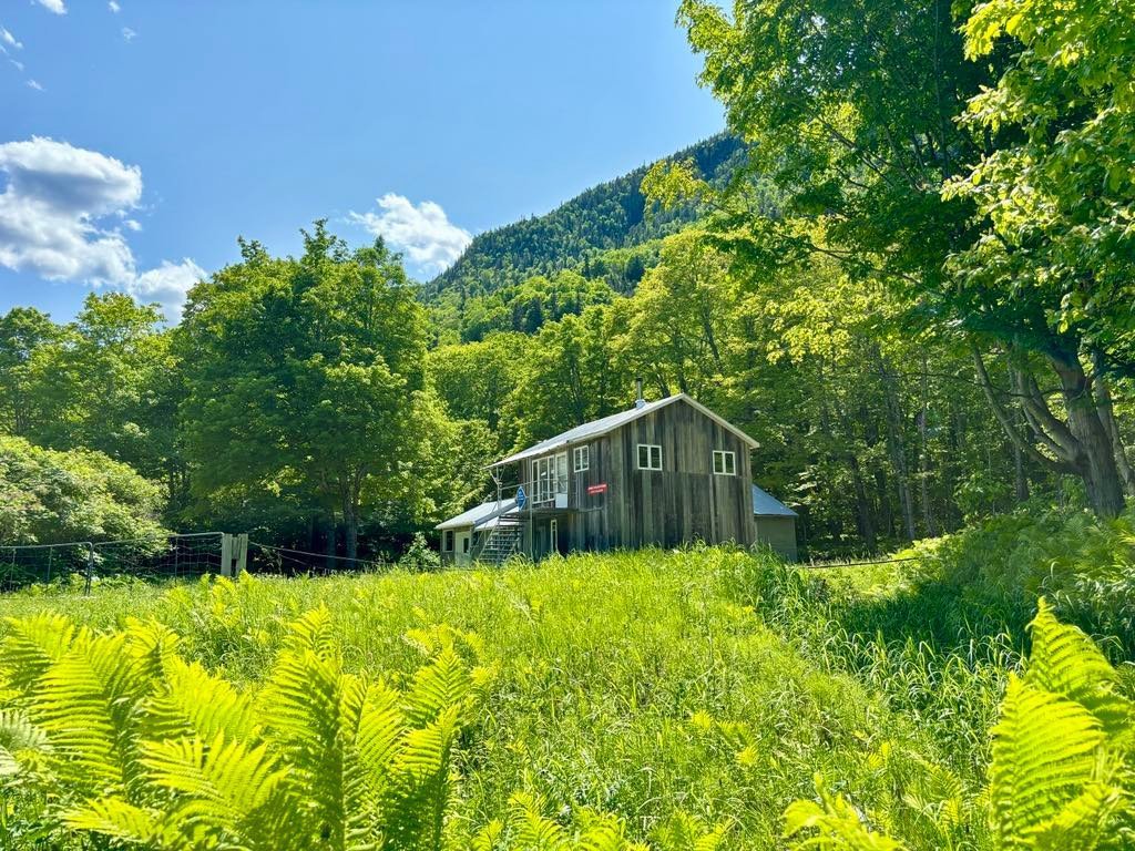 Route Pierre-Godefroi-Coulombe — photo 1