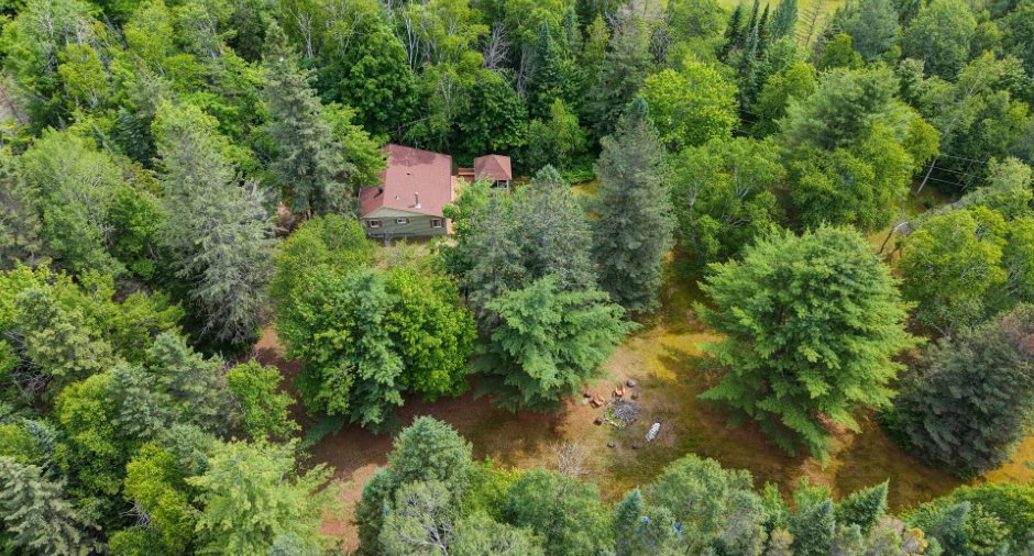 Aerial photo