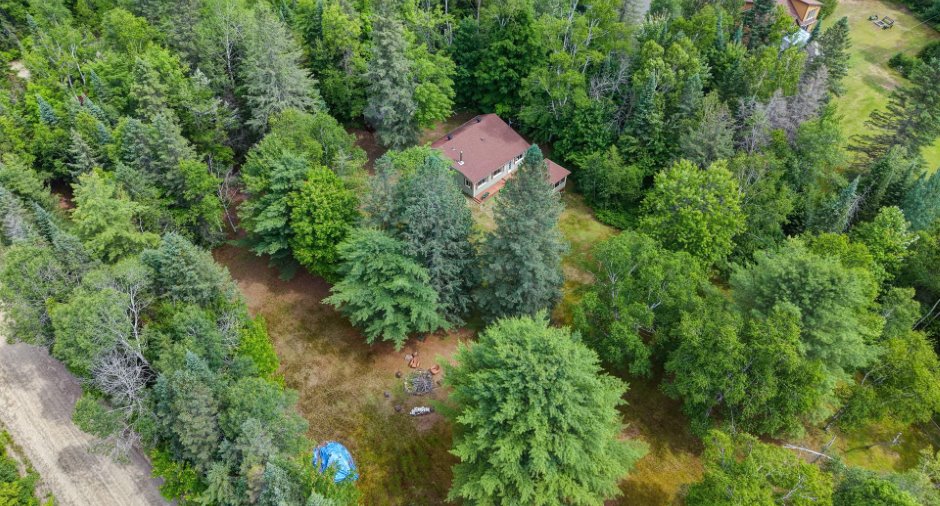 Aerial photo