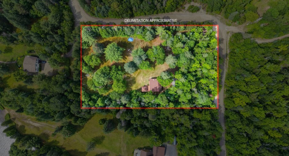 Aerial photo
