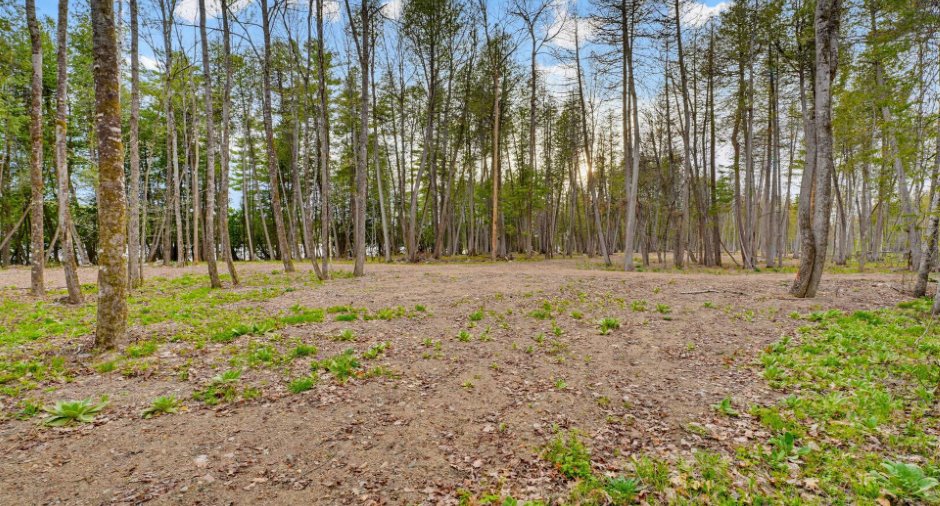 Land/Lot