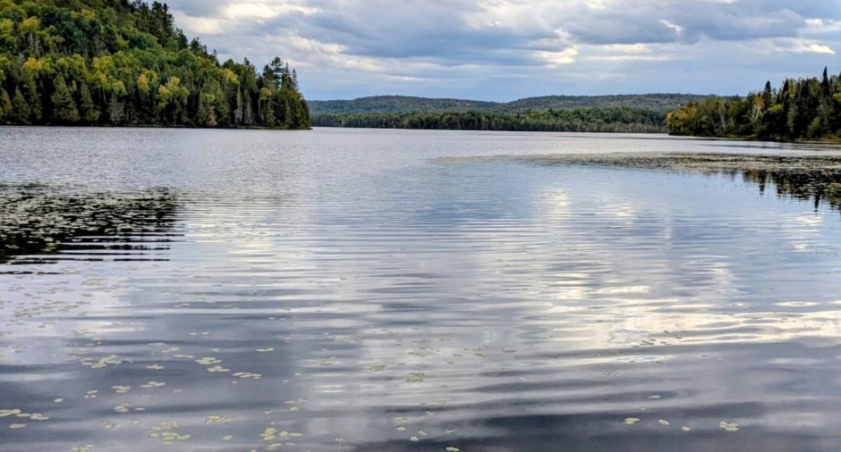 Vue sur l'eau