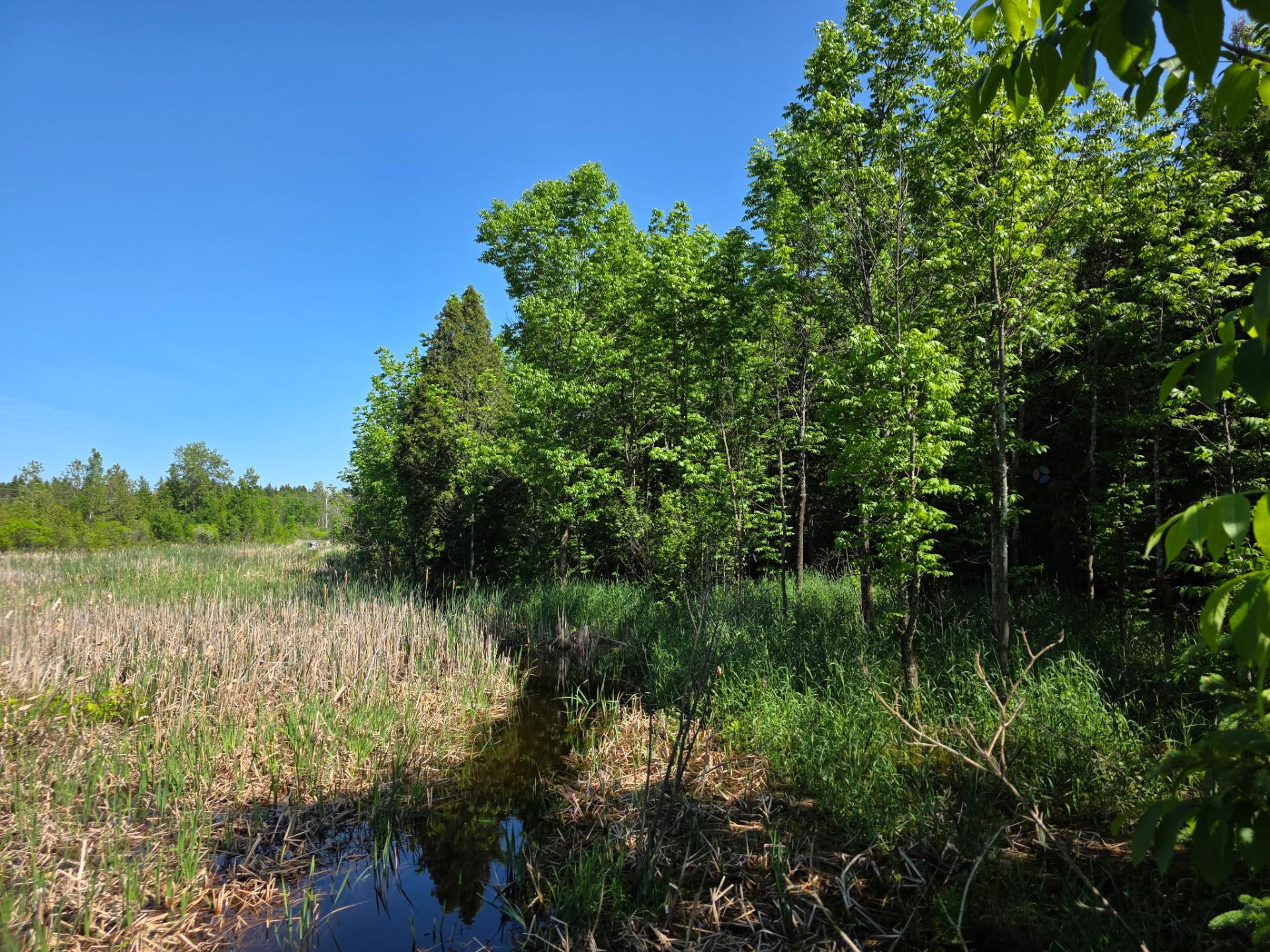 Ch. du Domaine-Bernier — photo 1