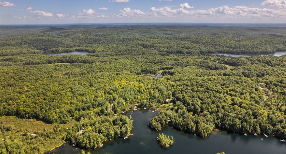Aerial photo