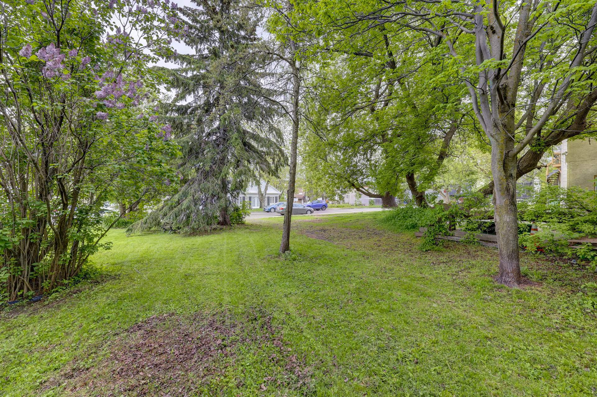 6530Z Boul. Henri-Bourassa — photo 2