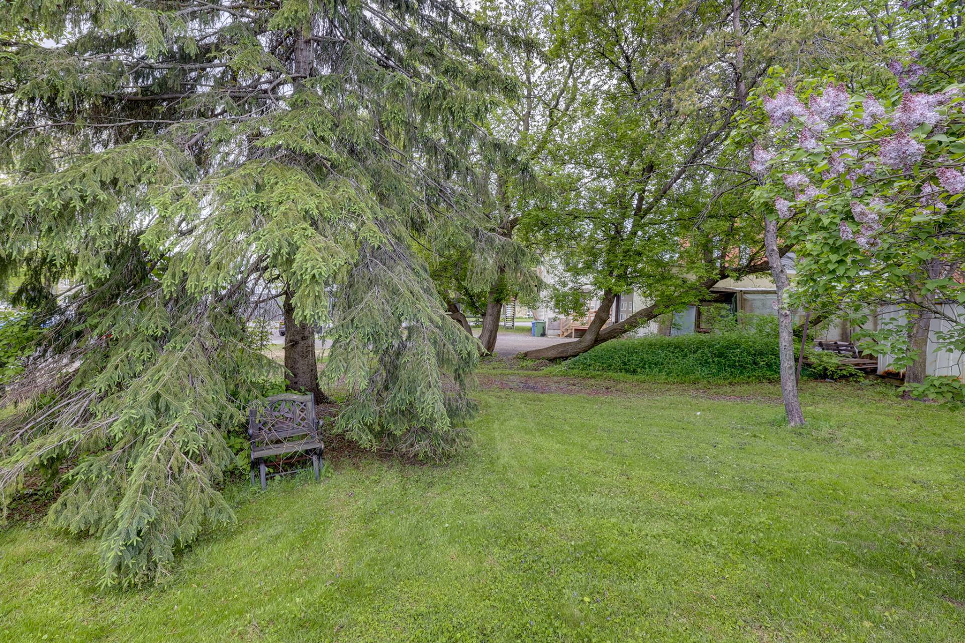 6530Z Boul. Henri-Bourassa — photo 3