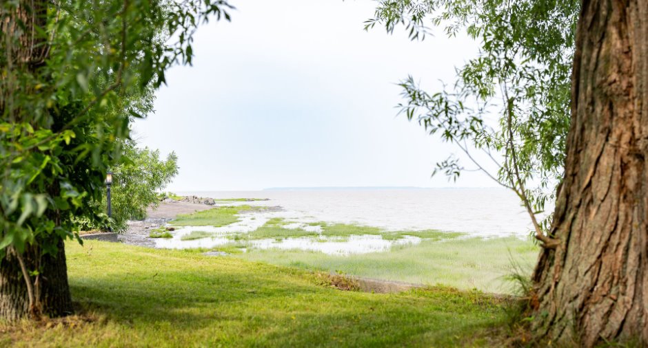 Bord de l'eau