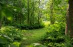 Terre/Terrain