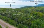 Terre/Terrain