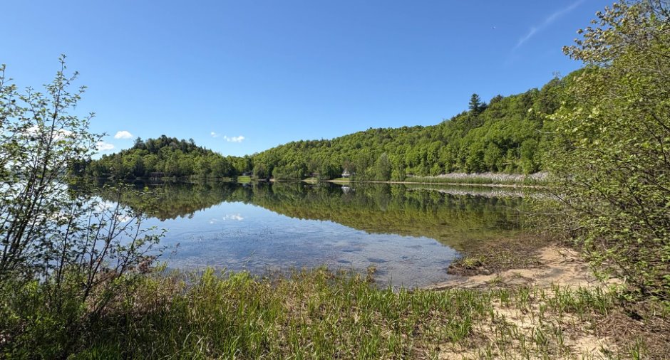 Bord de l'eau