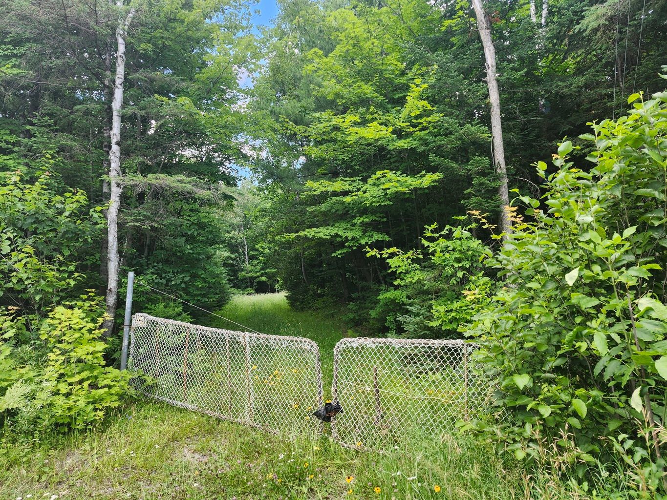 Mtée Silverson — photo 1