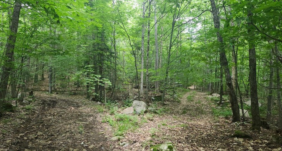Terre/Terrain