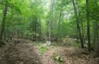 Terre/Terrain
