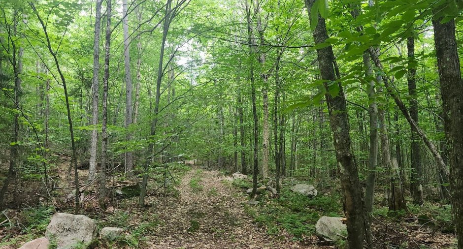 Terre/Terrain