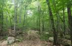 Terre/Terrain