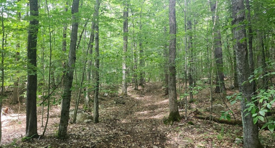 Terre/Terrain